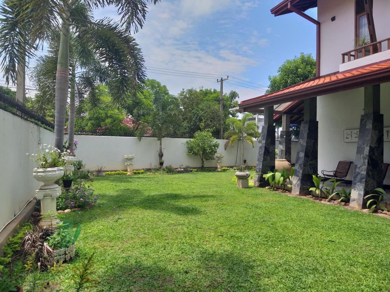 Cosy Nest Home Stay Negombo Exteriér fotografie